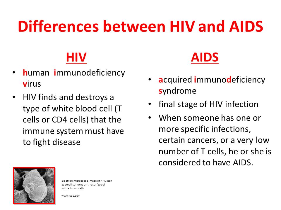 AIDS Awareness 101 Restoring Your Relationship aids-awareness-101-restoring-your-relationship
