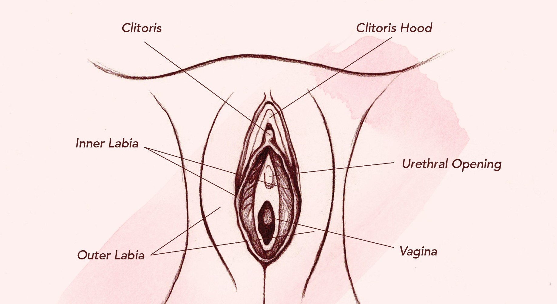 clitoris-hood-fissures-nina-mercedez-hot-scenes