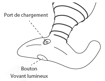 Hush de Lovense instructions des boutons.