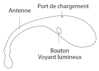 Lush de Lovense instruction des boutons.