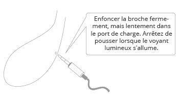 Lush 2ème Gen de Lovense port de charge.