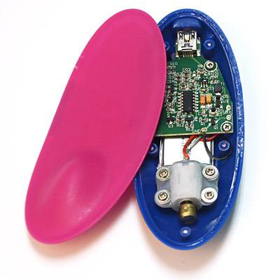 The battery of a leading panty vibrator. The battery of a leading panty vibrator.