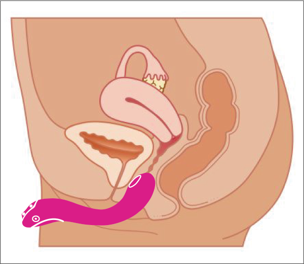 We recommend inserting Osci by Lovense at around 45 degree angle.