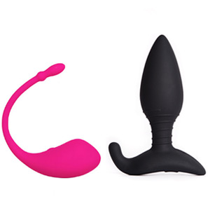 Vibrator with remote